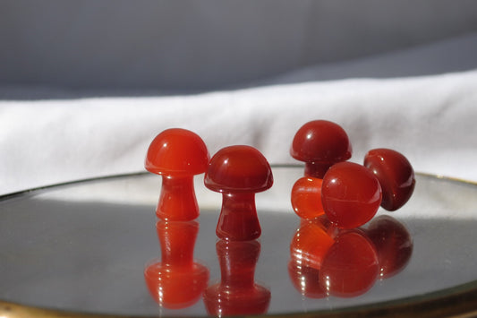 Mushroom Carnelian