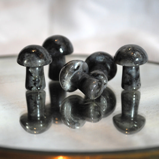 Champignon en Labradorite